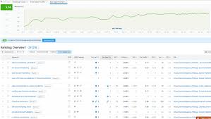 analyse positionnement referencement