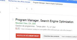 expert référencement google