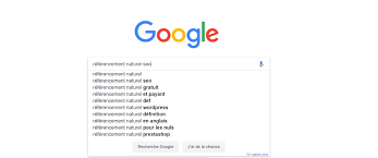 consultant référencement internet
