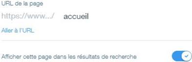 site wix référencement google résolu